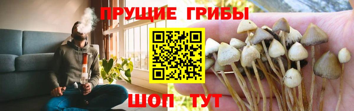 Псилоцибиновые грибы Psilocybe  Галлюциногенные грибы ЛСД  Вход с VPN  Зеленокумск 